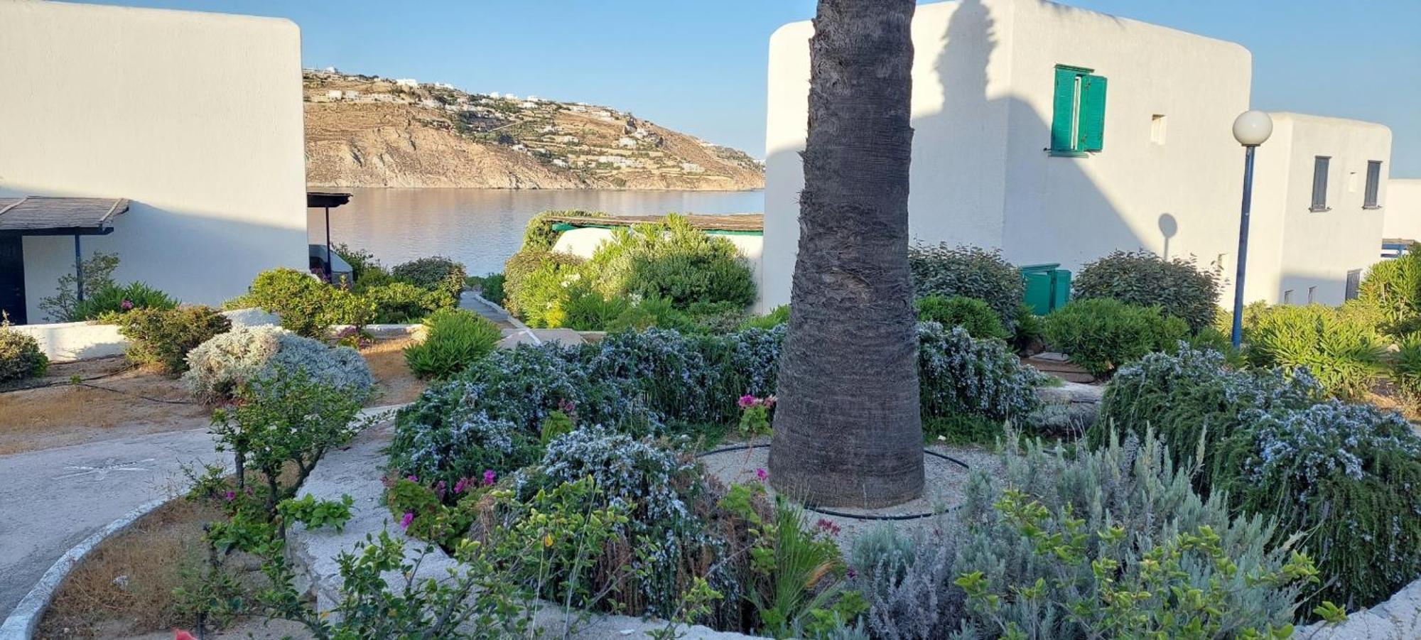 Mykonian House With Shared Pool Villa Ornos  Eksteriør billede